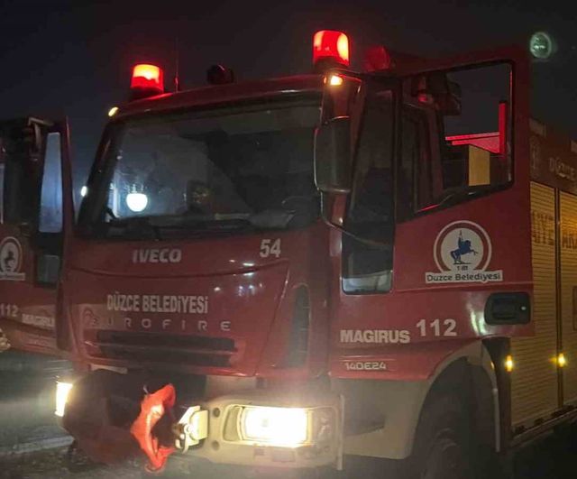 Vinçle yürütülen operasyonda eşek sahibine koştu