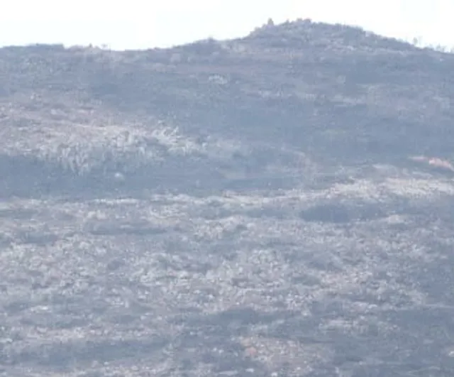 Yangın mağduru üreticilerin kışı İzmir'den gelen 30 ton yemle kolaylaşacak