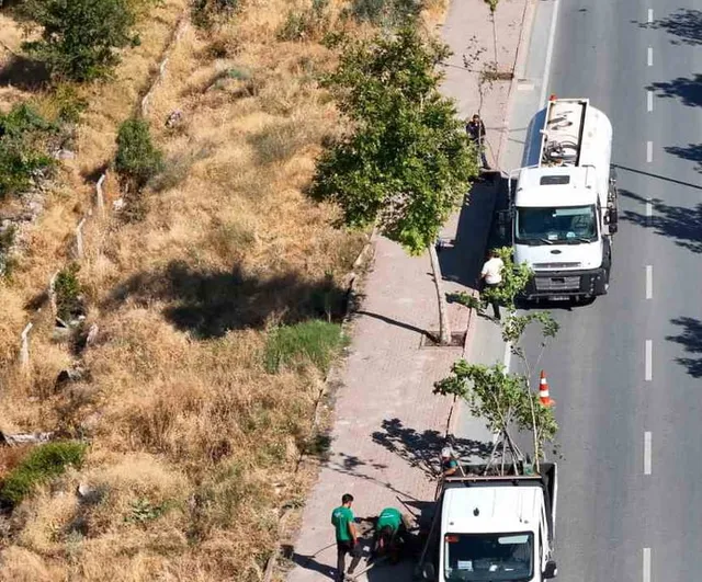 Yeşil korunuyor, ağaçlar yenileniyor: Kayseri'de sürdürülebilir dikim seferberliği