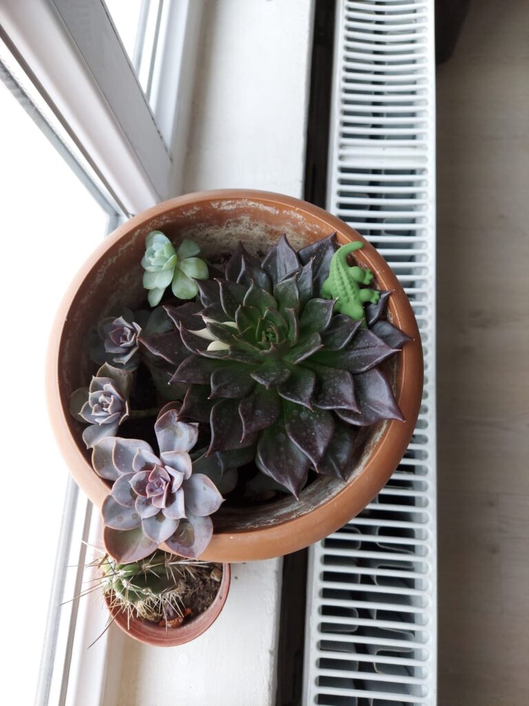 Samsung Galaxy M51 Özellikleri ve İncelemesi