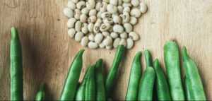 Çocukların Tüketmesi Gereken Temel Besinler