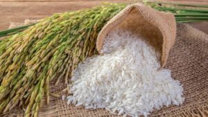 Çocukların Tüketmesi Gereken Temel Besinler