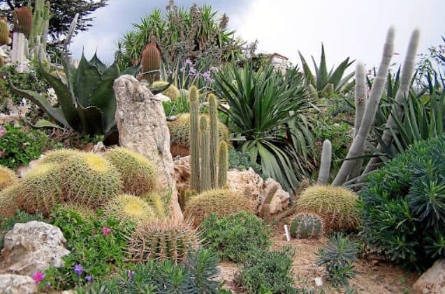 Monako’da Gezilecek Yerler Ve Yapılacak Aktiviteler