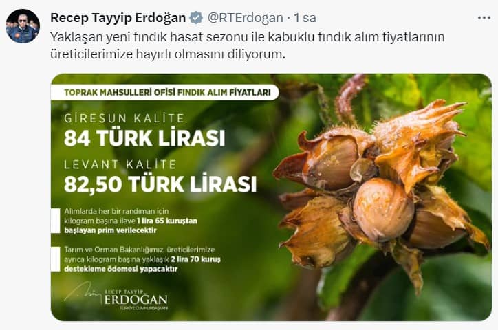 2023 Fındık Alım fiyatı belli oldu