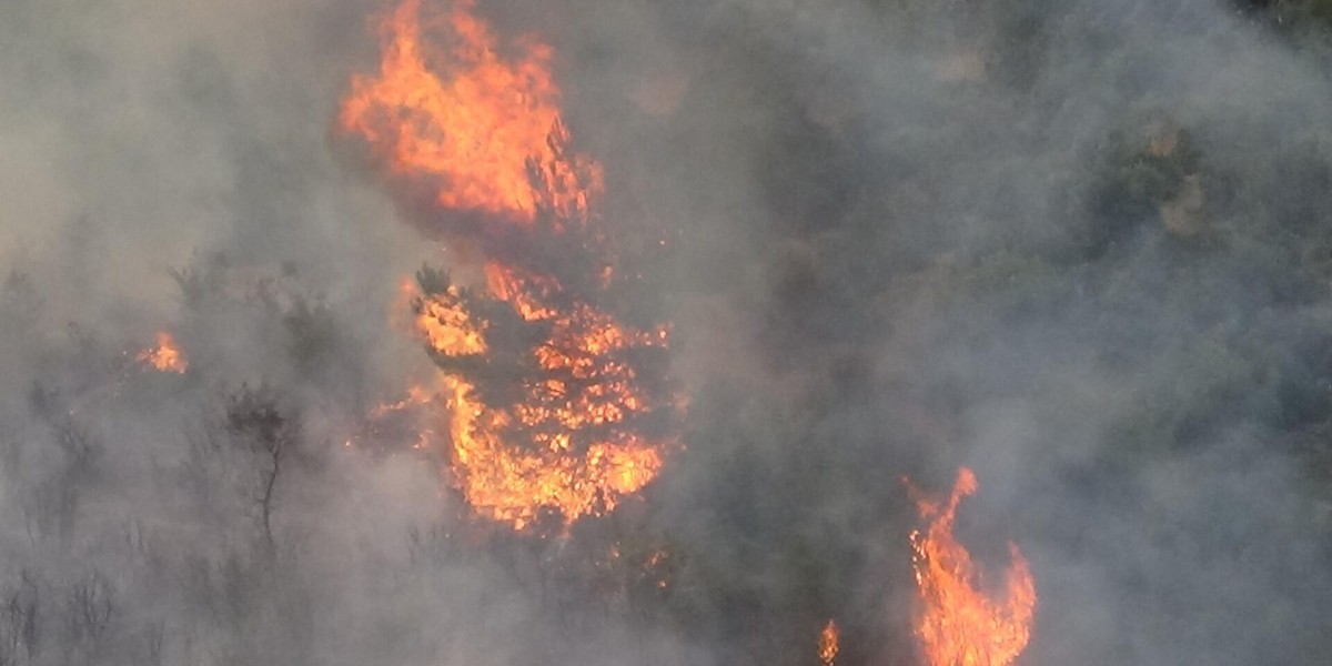 çanakkale yangını için çalışmalar son hızıyla devam ediyor