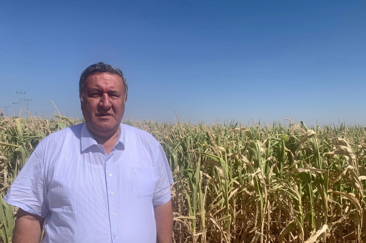 Enflasyon, mısır üreticisini vurdu