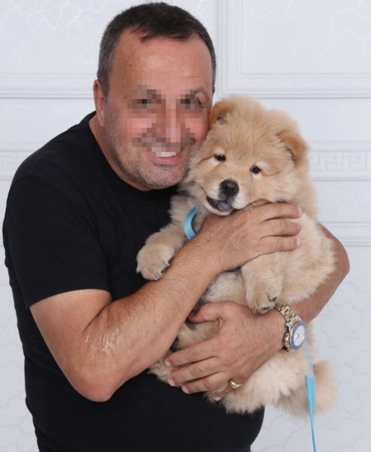 İşletme sahibinin köpeği Ali Kal'ın kulağını kopardı