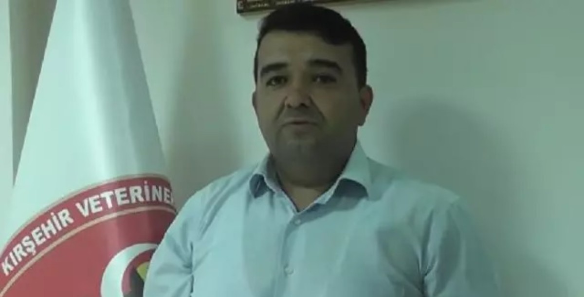 Dünyanın en zehirli örümceği Kırşehir'de görüldü