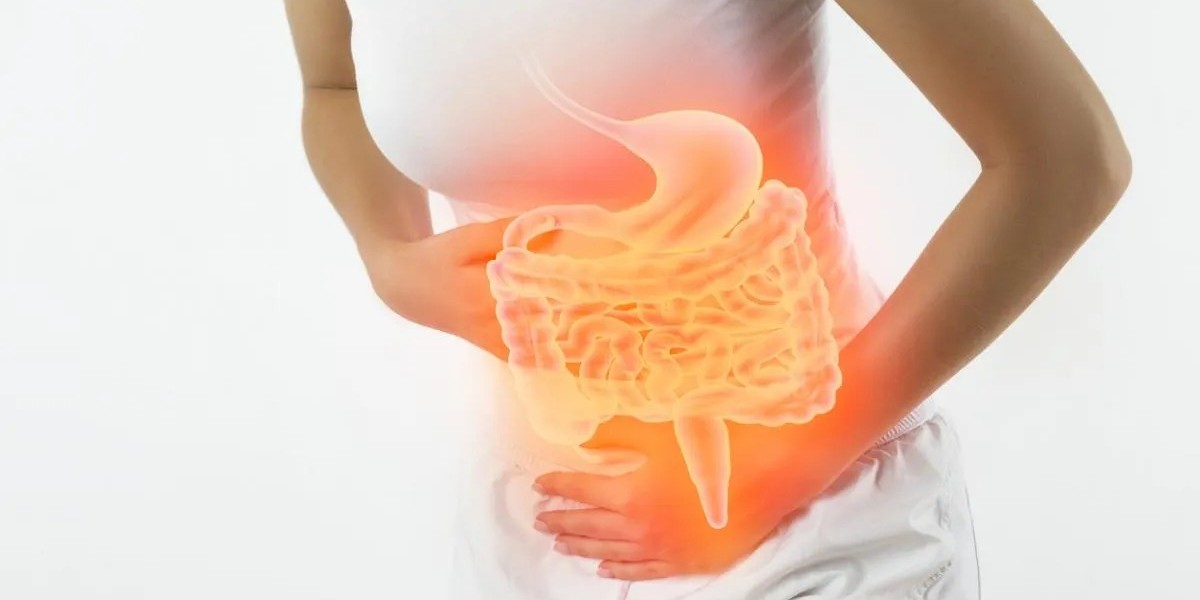 Bagirsak enfeksiyonu