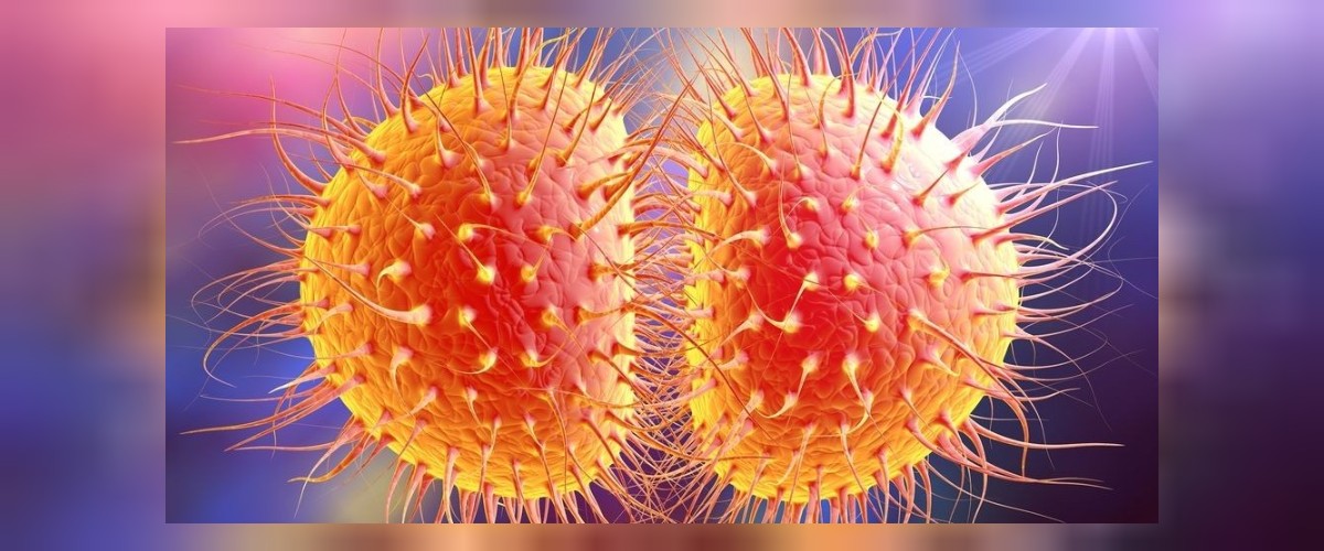 cinsel yolla bulasan hastalıklar