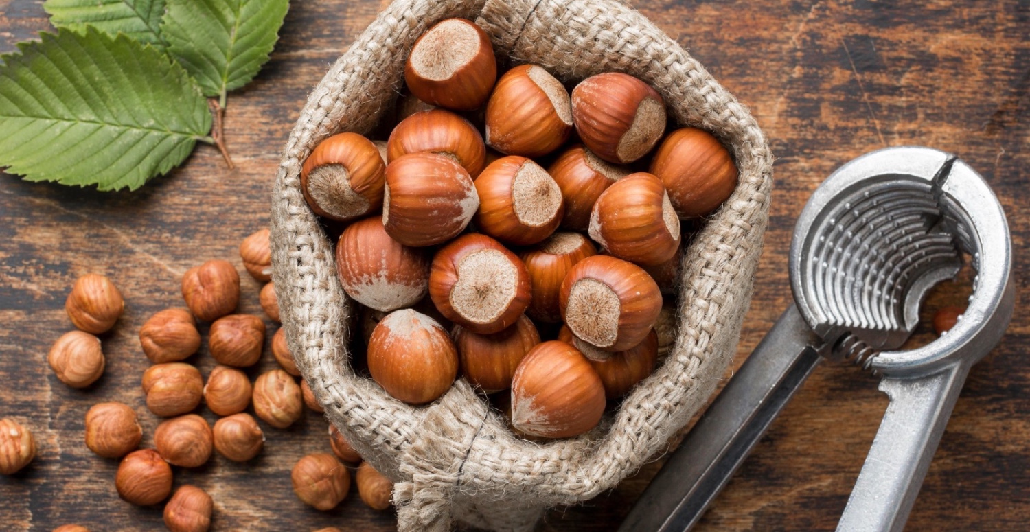 fındık fiyatları 21 kasım