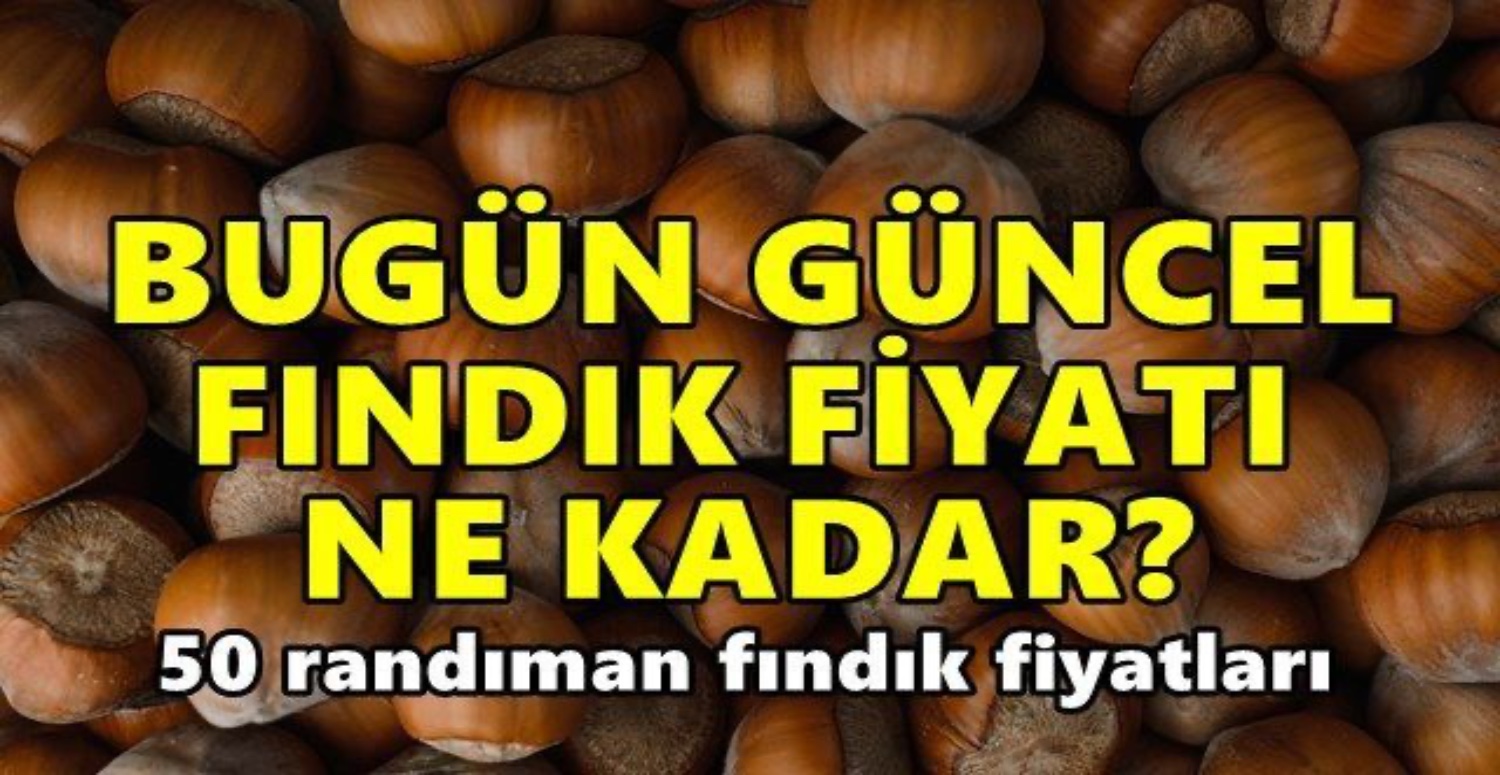 güncel fındık fiyatları