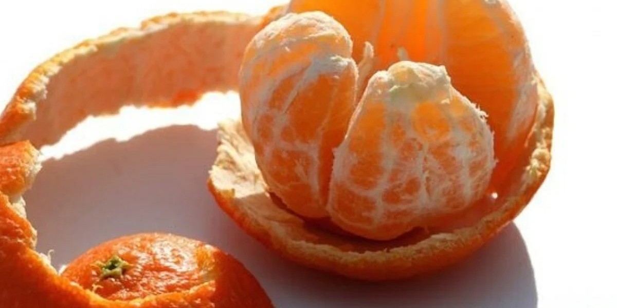 mandalina kabugu sac bakımı