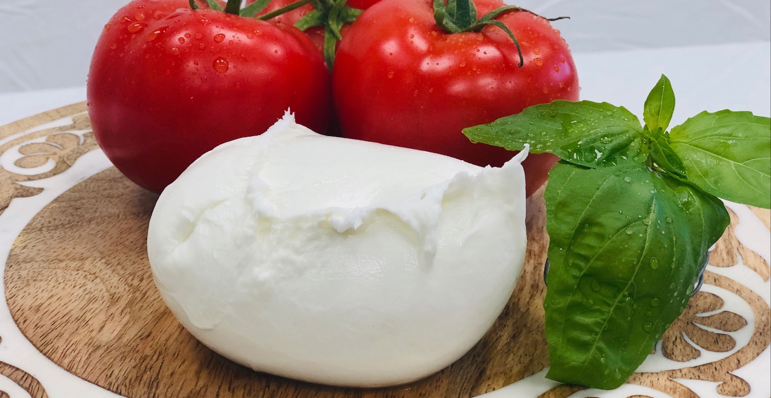 mozarella peyniri