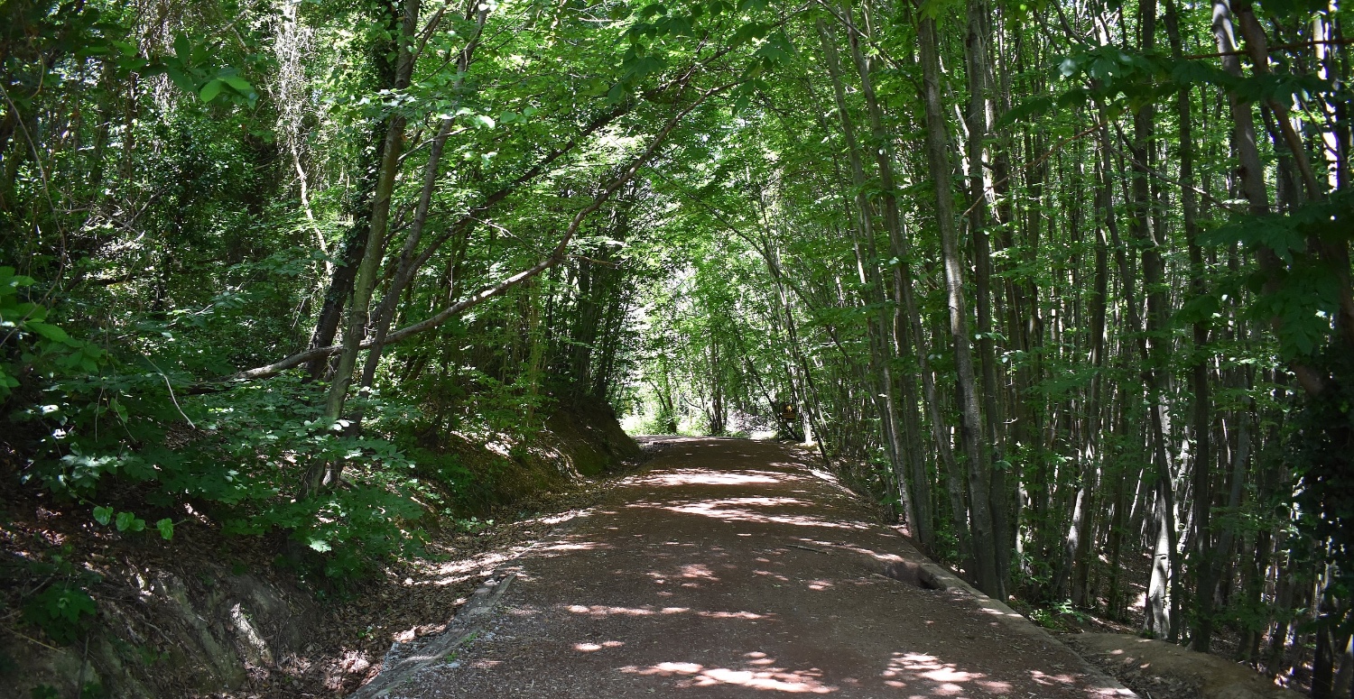 POLONEZKÖY TABİAT PARKI