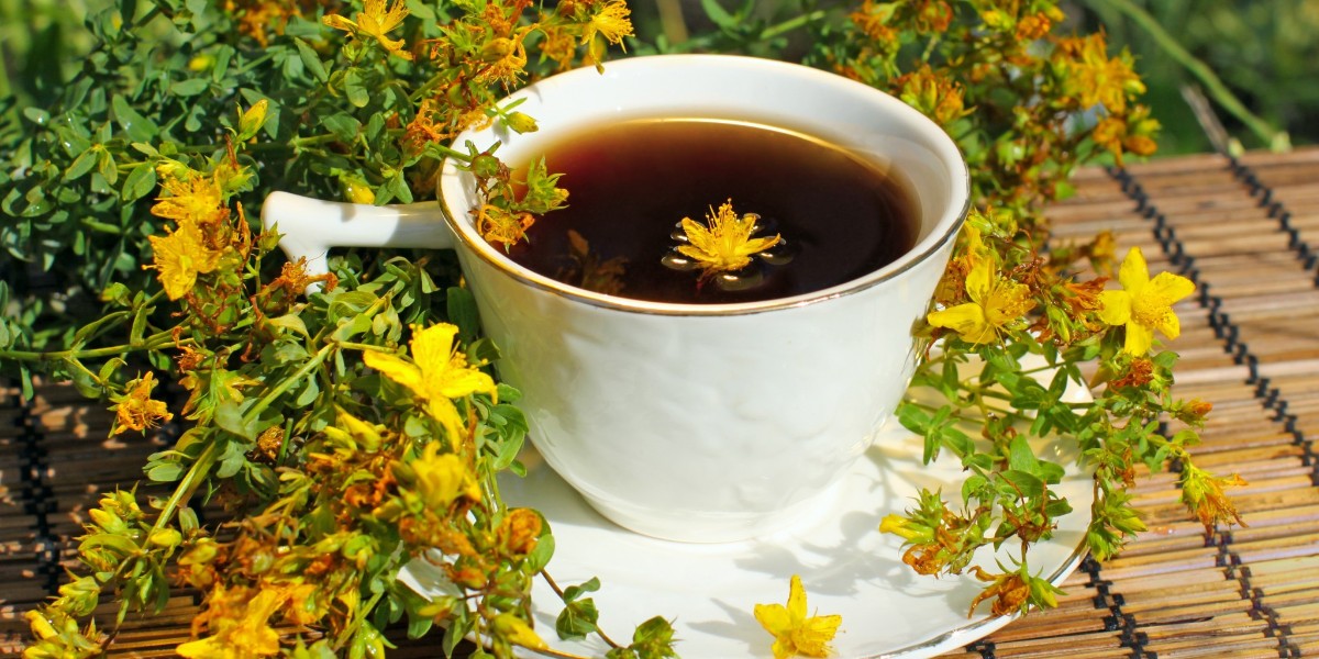 Sarı kantaron çayı