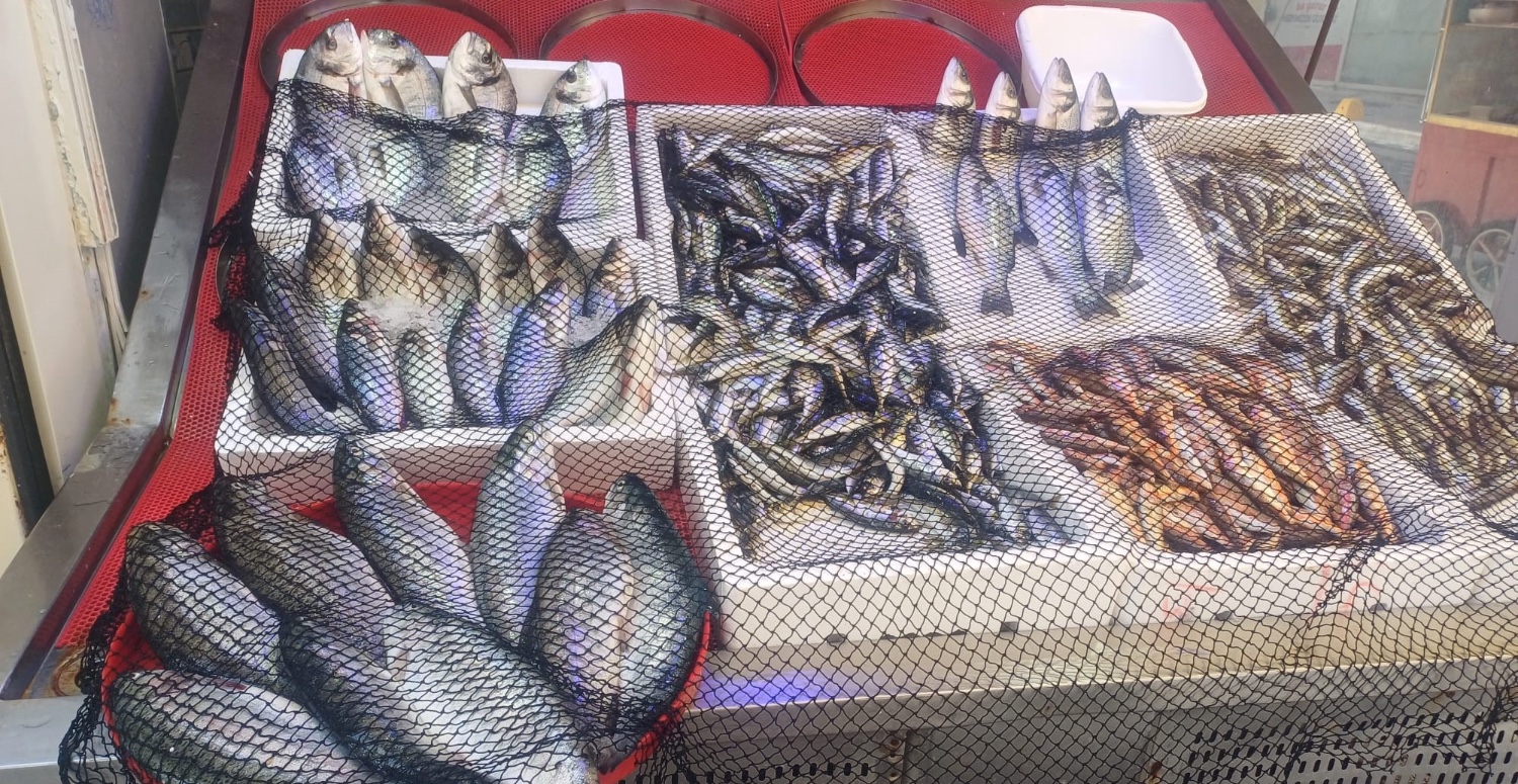 28 aralık balık fiyatları