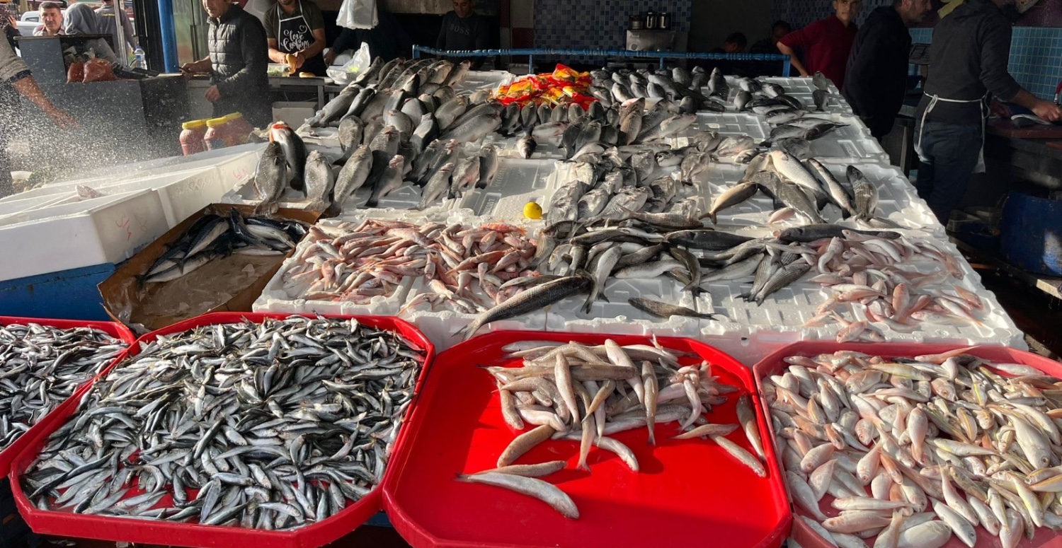 28 aralık balık fiyatları