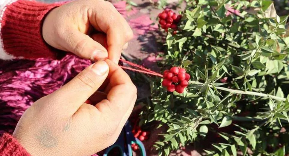 Kokina Çiçeği Nedir? Nasıl Yapılır?