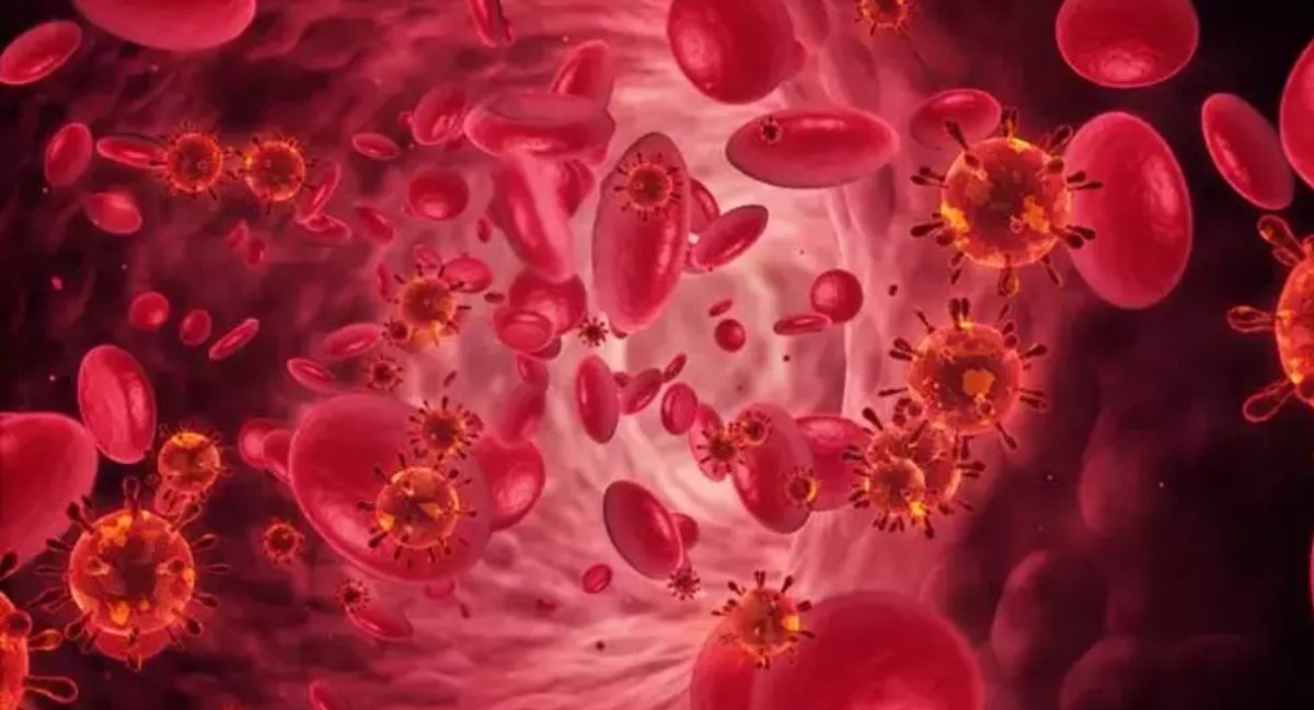 Kansızlık Nedir, Nasıl Anlaşılır, Nasıl Önlenir ve Tedavi Edilir?