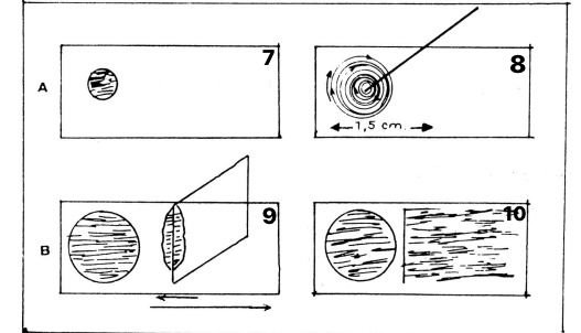 Mikroskopta Bakteri Macerası: Kendi Örneklerinizi Nasıl Hazırlar ve İncelersiniz?