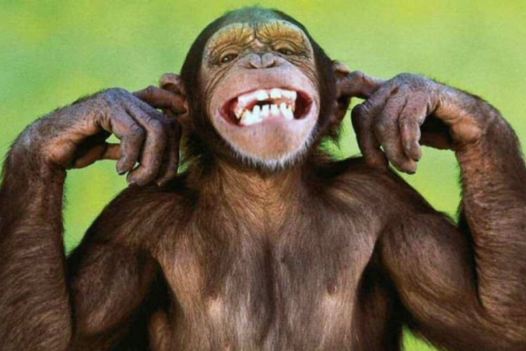 Tahtaya sürtülen tırnak sesine neden dayanamıyoruz? Beynimizde neler oluyor?