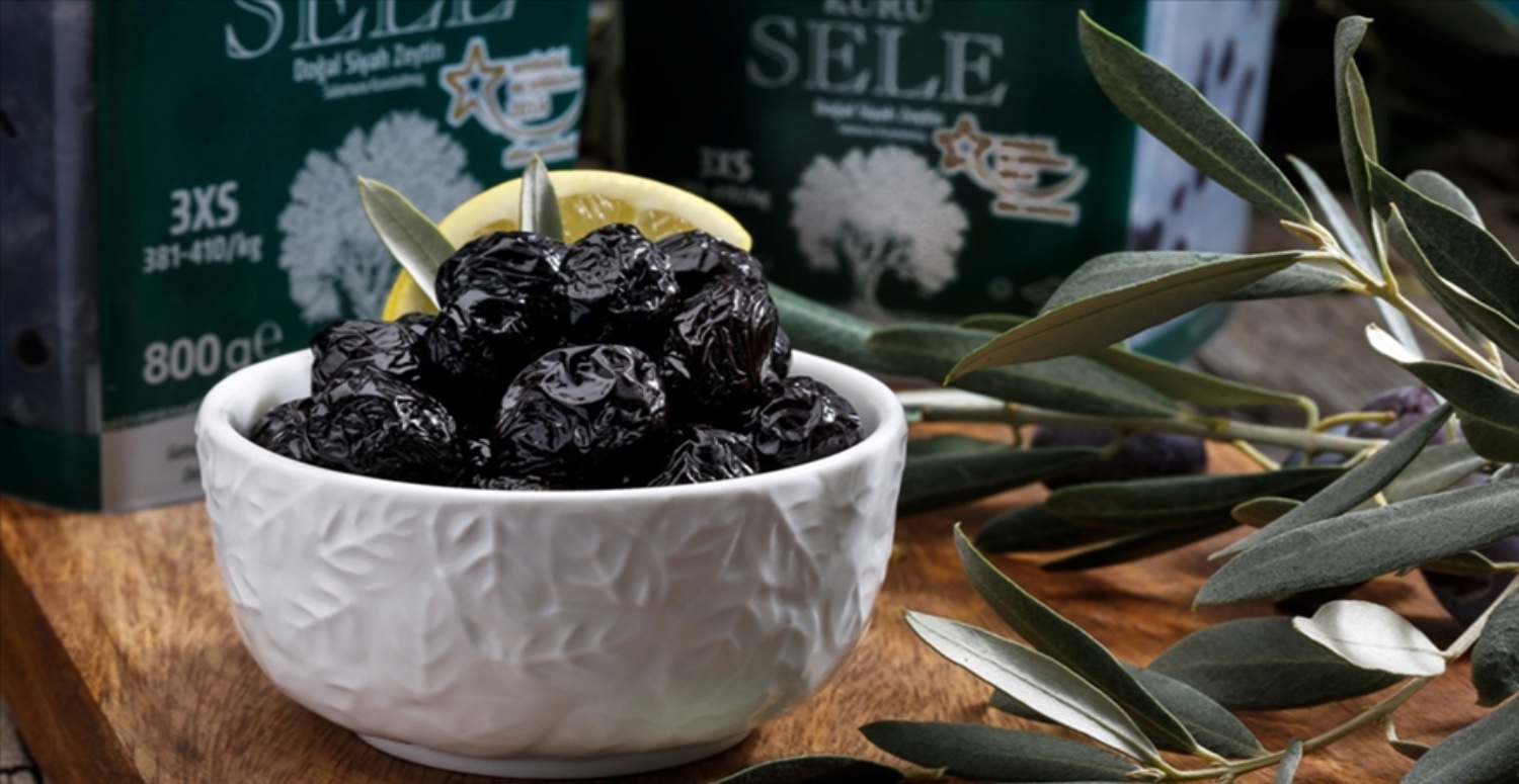 MARMARABİRLİK 2023 - 2024 İÇİN ALIM FİYATLARI