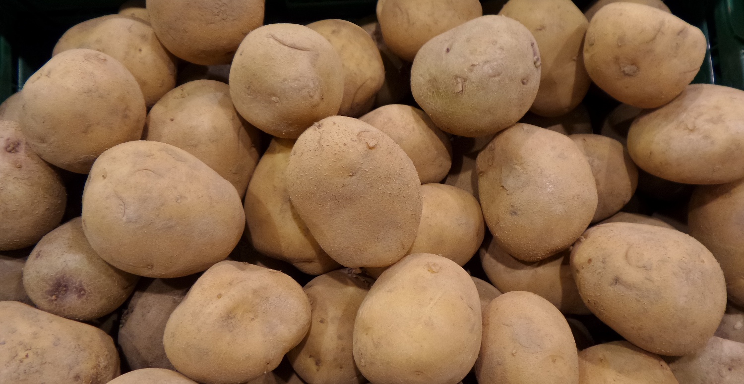 PATATES KİMİ TEZGAHLARDA 20 TL’DEN SATIŞA