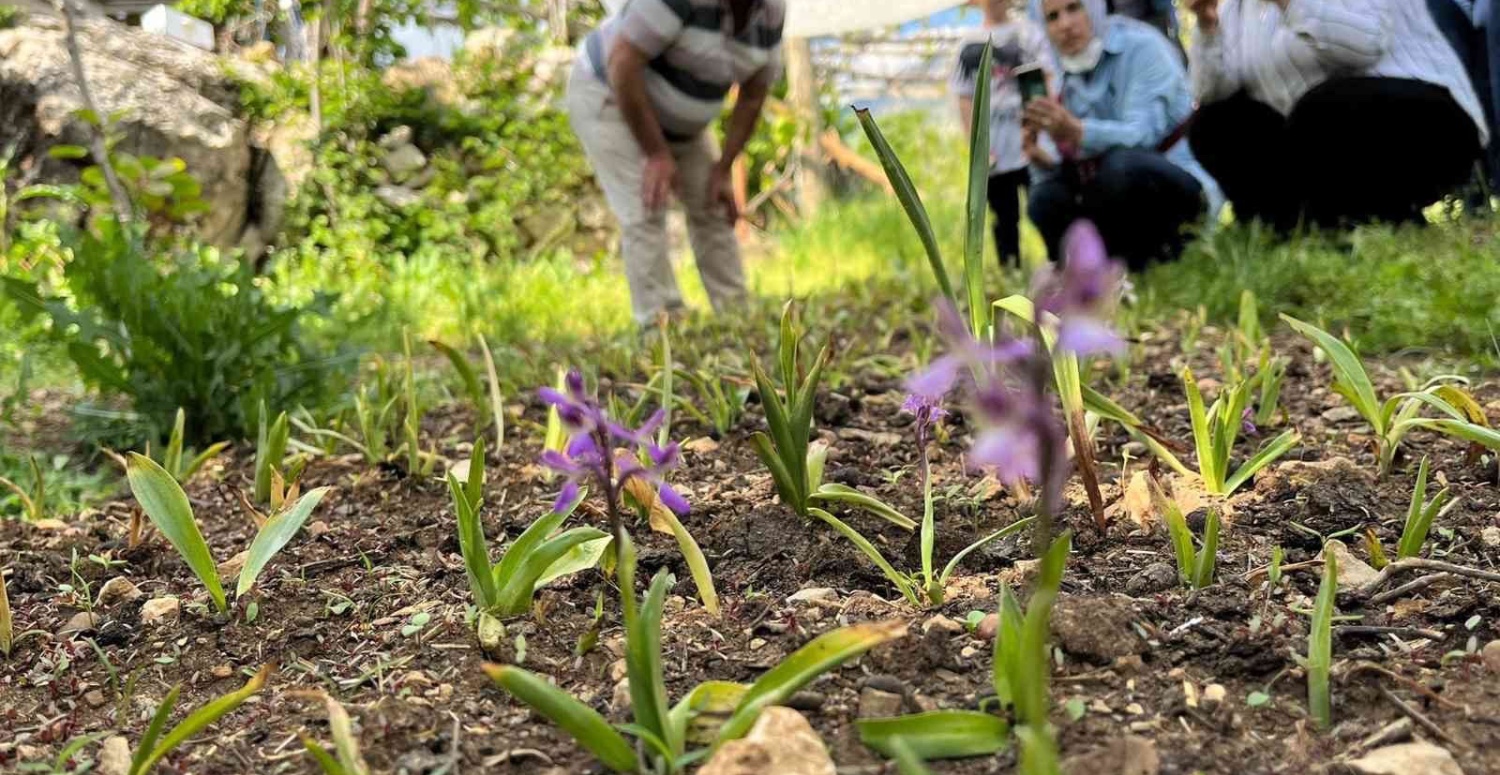 SALEP ÜRETEN KÖŞEYİ DÖNÜYOR