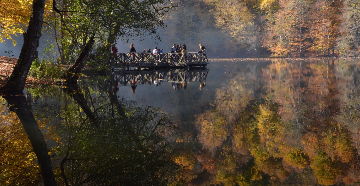 YEDİGÖLLER MİLLİ PARKI