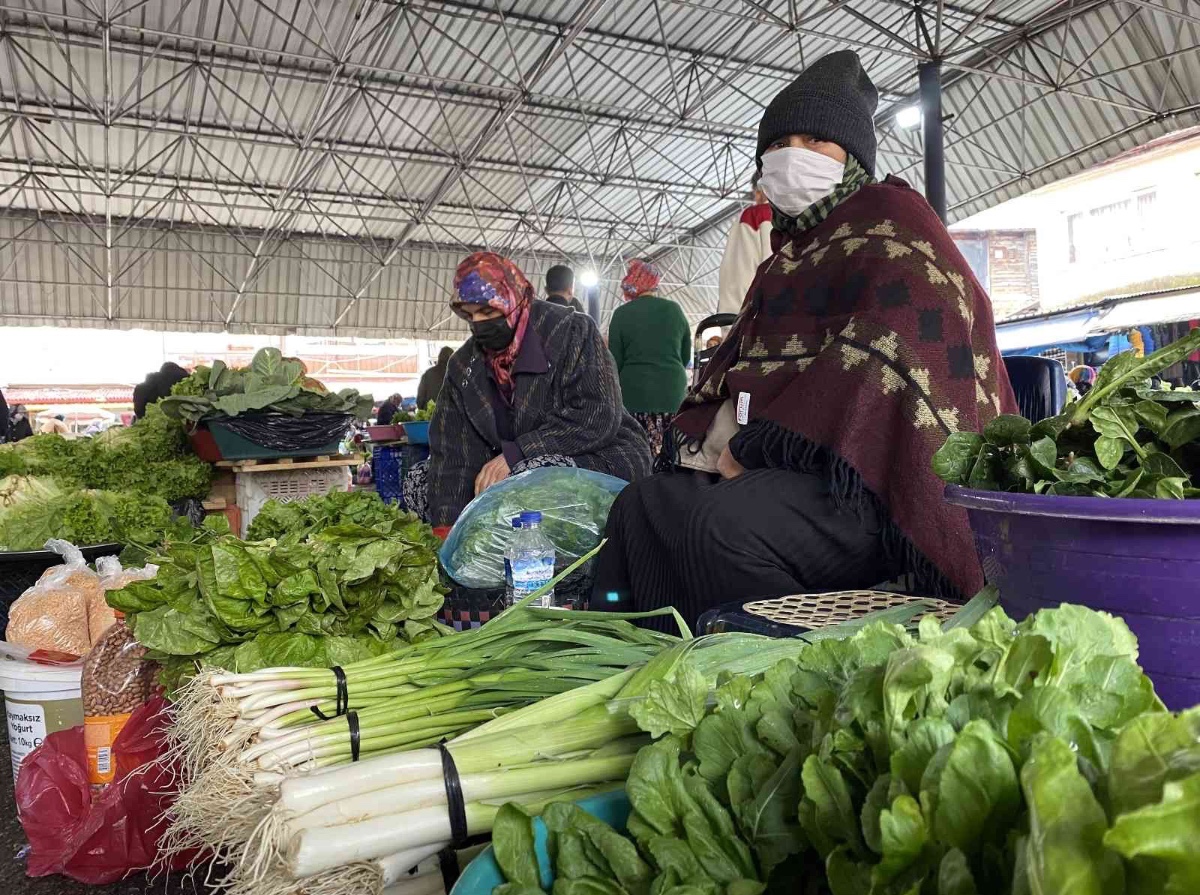 YEŞİLLİK FİYATLARINDA SON DURUM