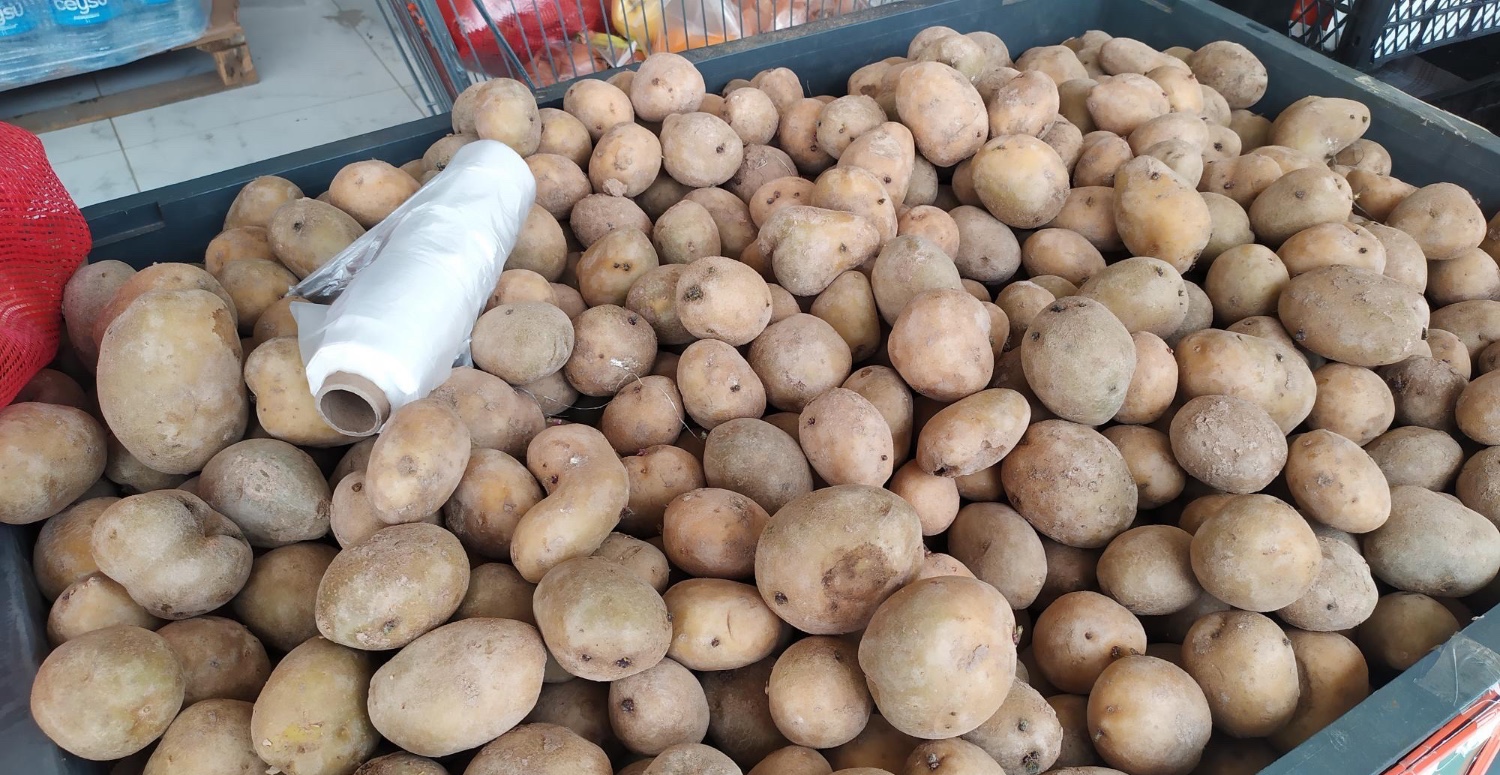 24 OCAK GÜNCEL PAZAR SEBZE FİYATLARI