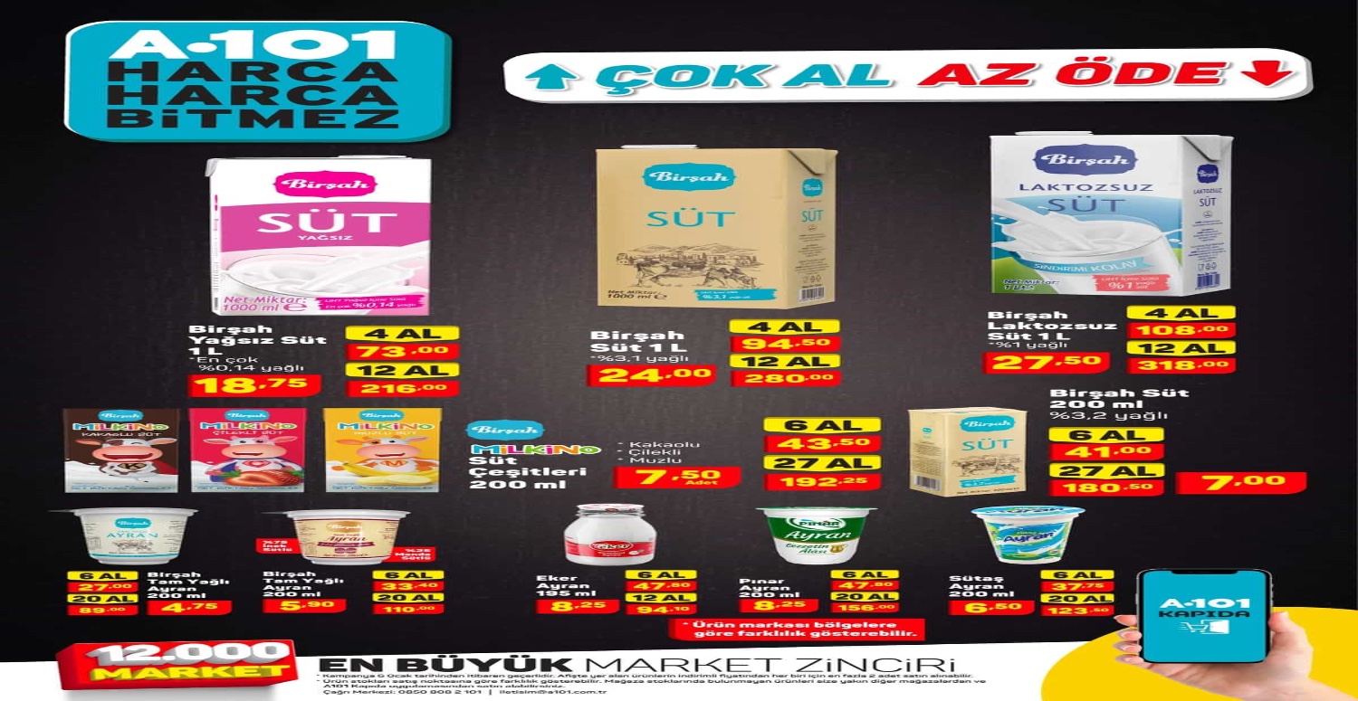 A101 6 12 Ocak aktüel katalogu