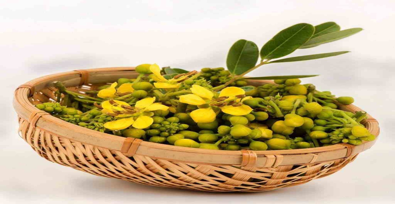 açlık otu faydaları