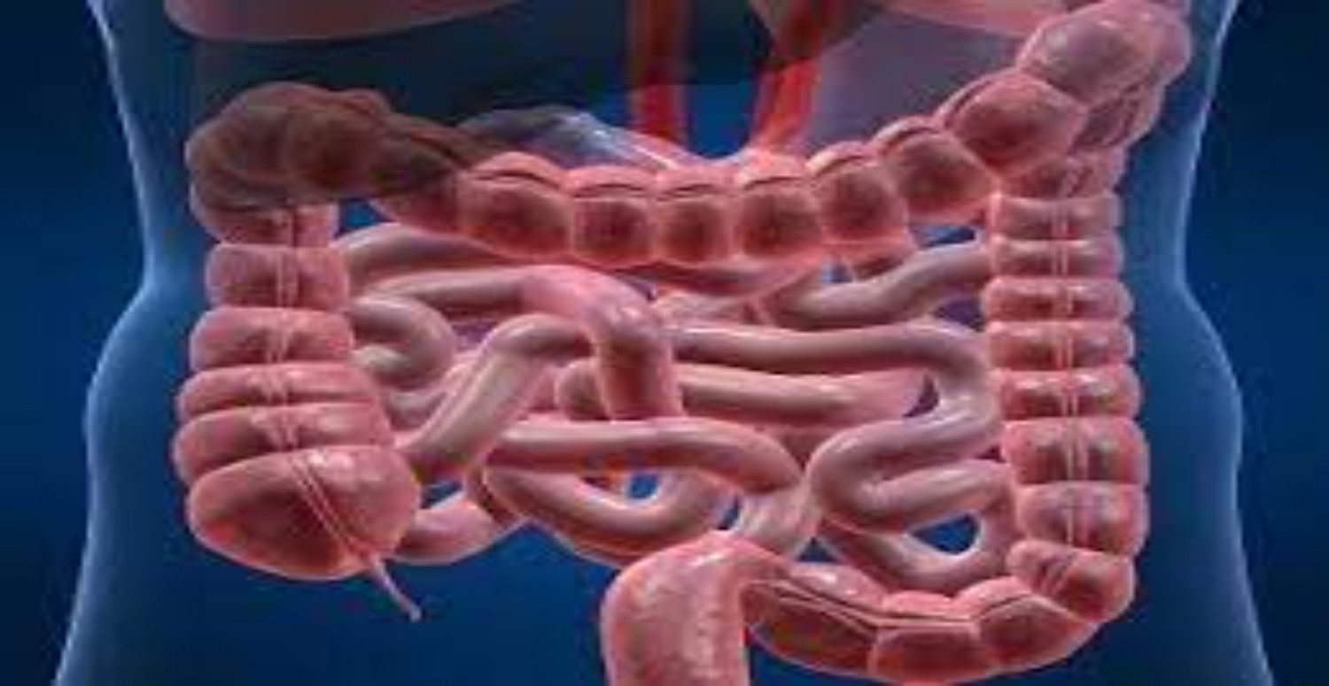 bağırsak kurdu tedavisi