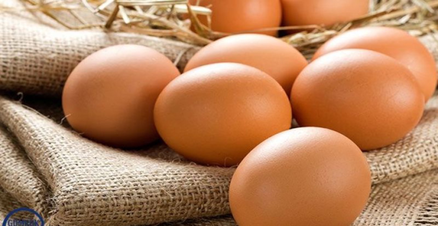 BİM MARKET YUMURTA FİYATLARI