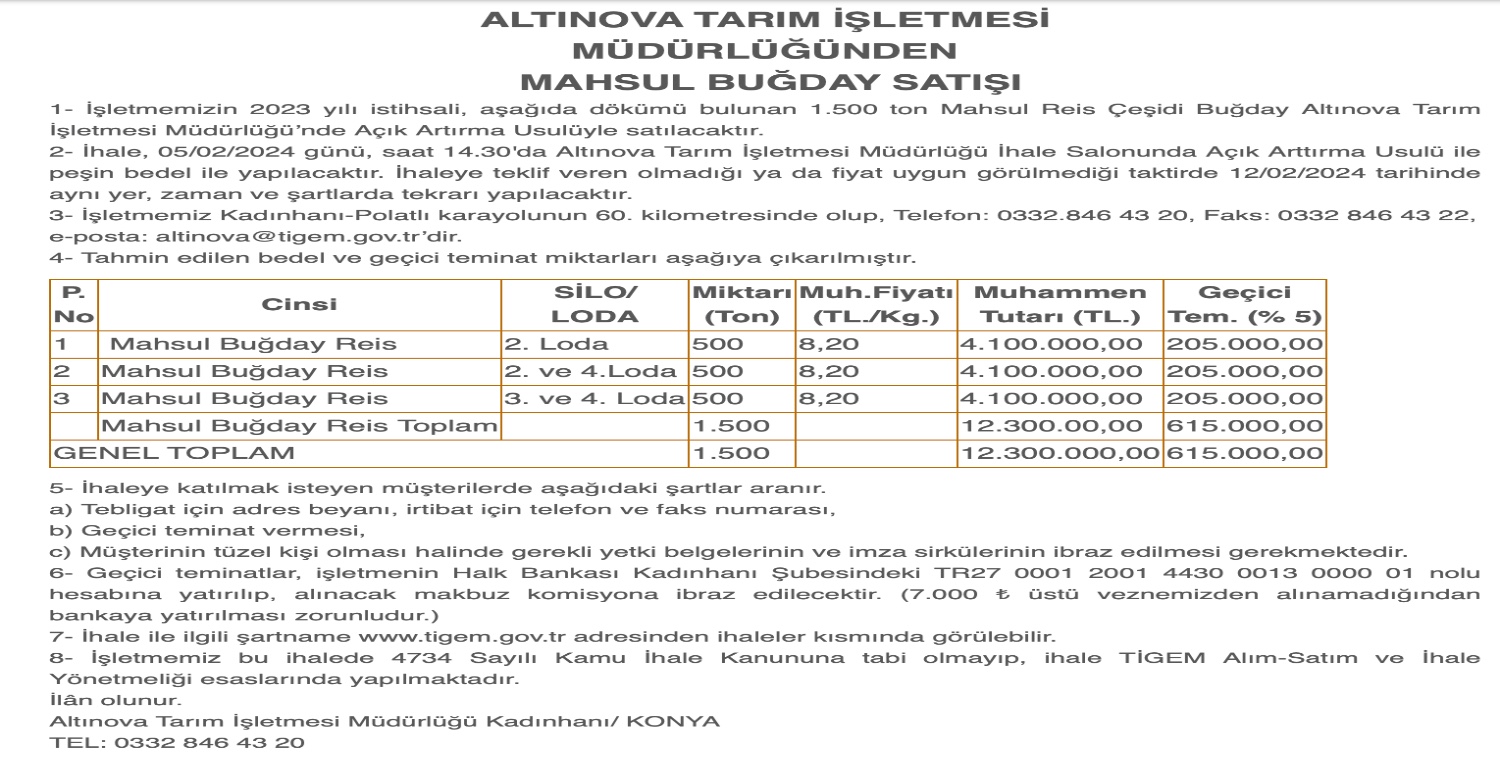 Buğday ihalesinden haber bekleyenlere müjde! Altınova Tarım duyurdu