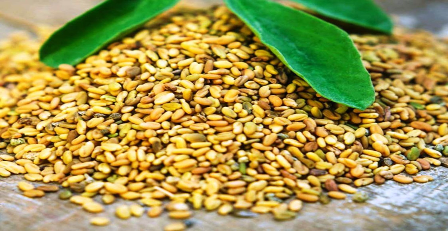 ÇEMEN OTU SAÇA İYİ GELİR Mİ