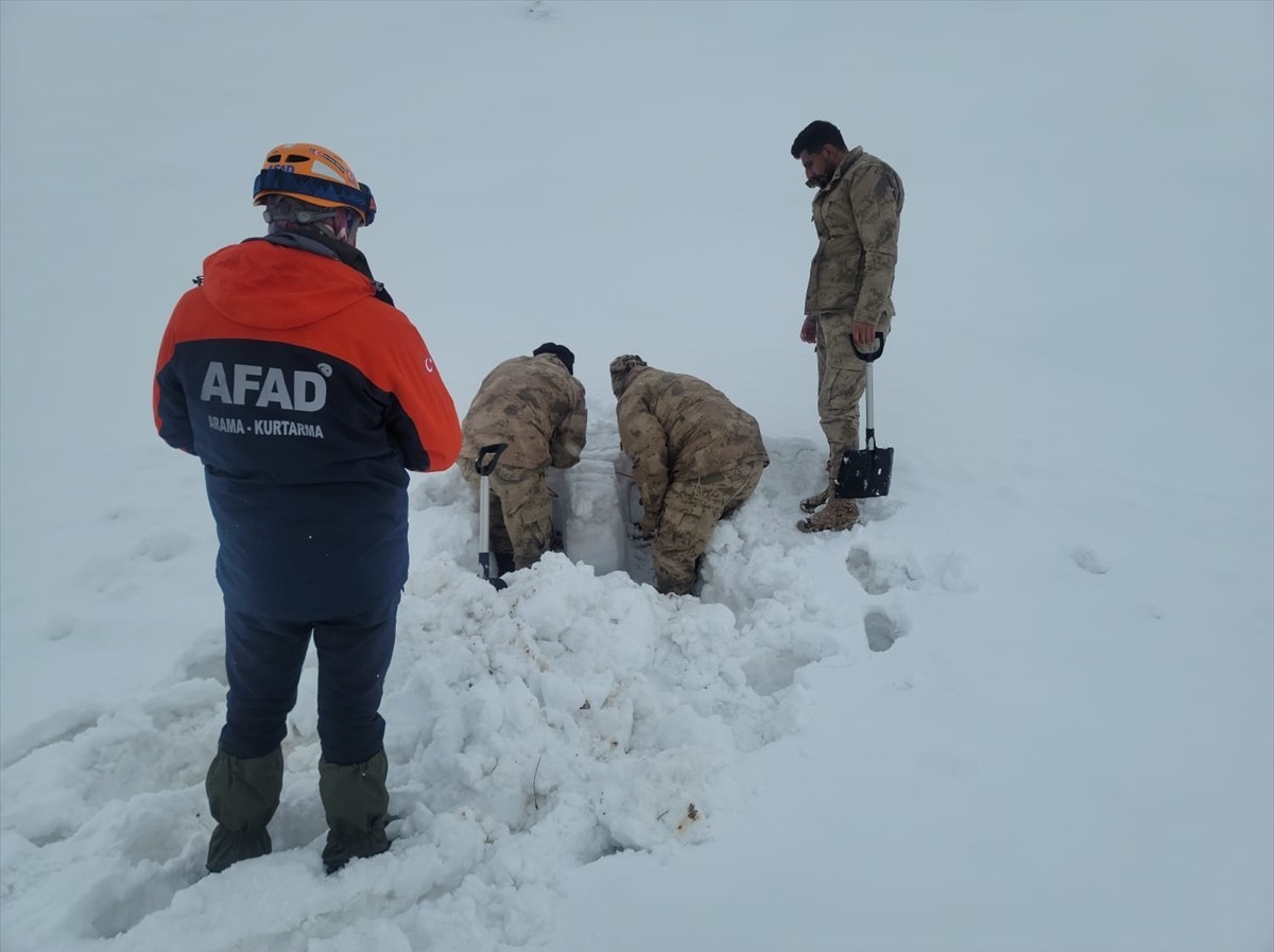 çığda arama kurtarma