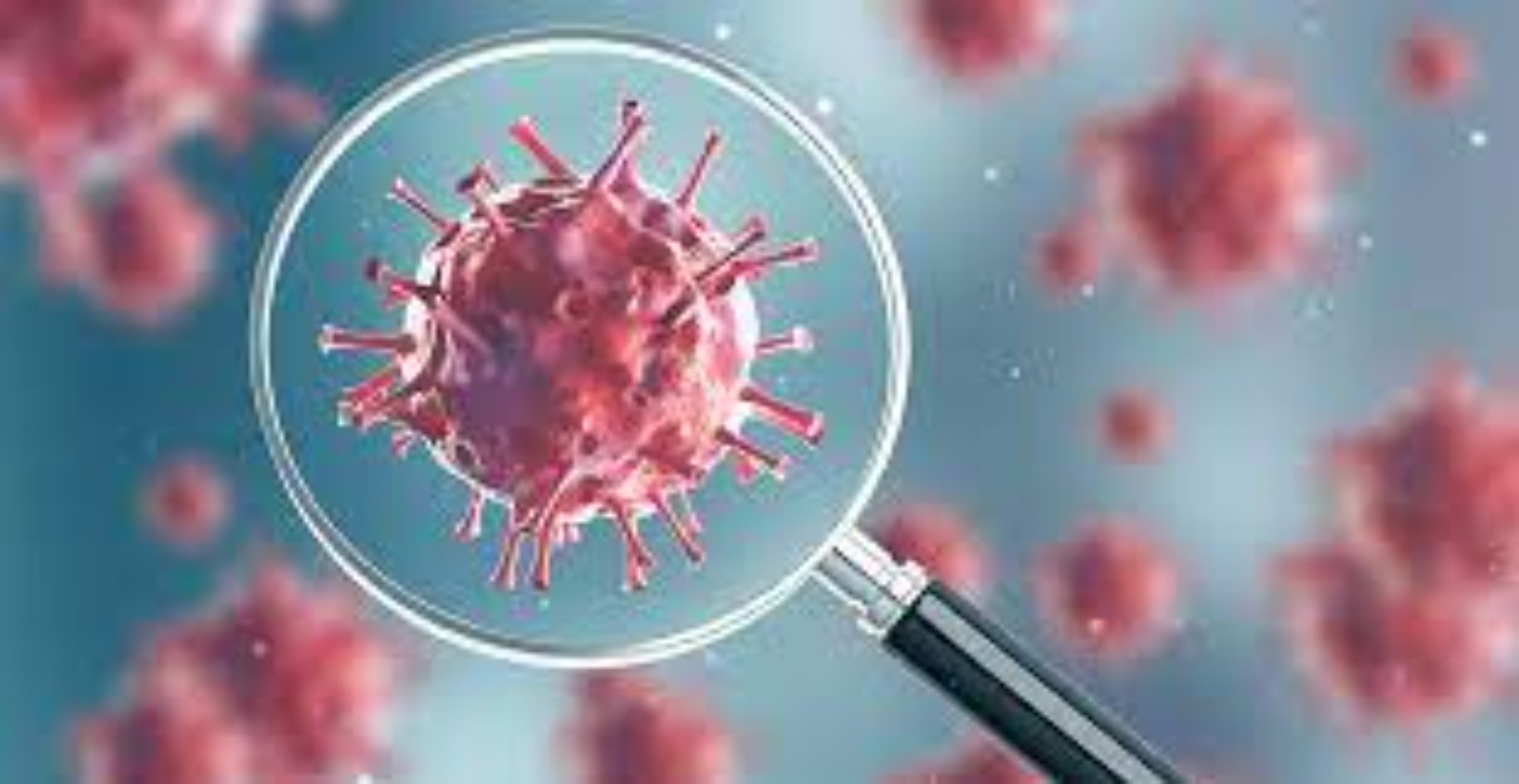 domuz gribi alarm veriyor