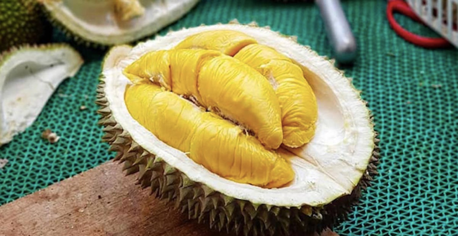 durian zararlımıdır?