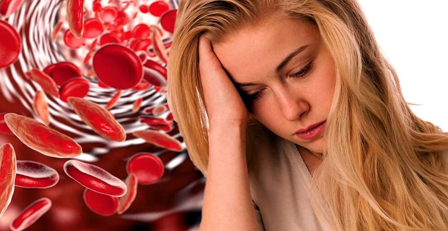 hünnap meyvesi etkileri