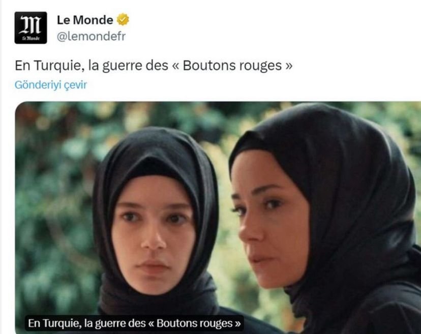 Kızıl Goncalar dizisi neden yasaklandı? Fransa’dan Türkiye’ye eleştiri