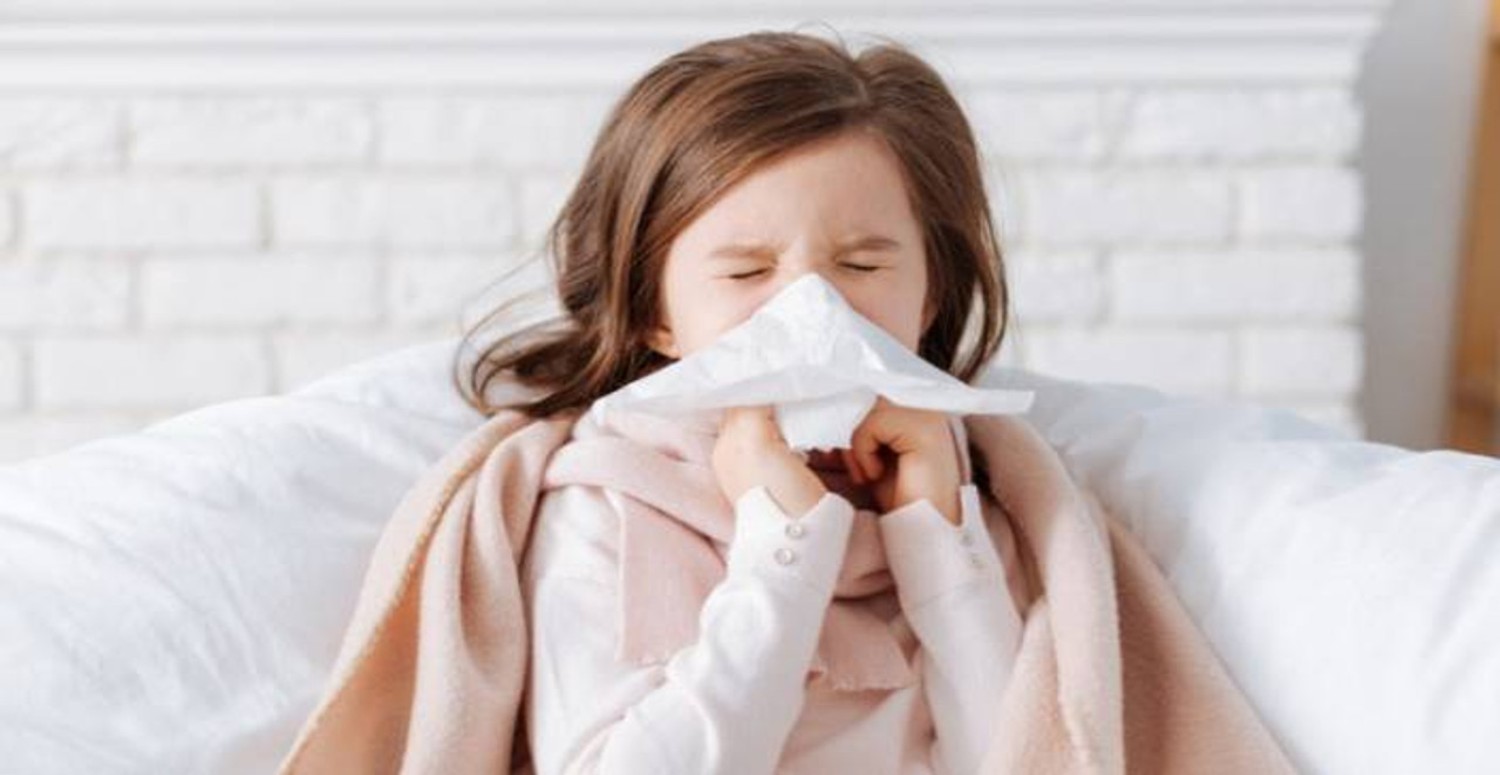 İNFLUENZA VİRÜSÜ