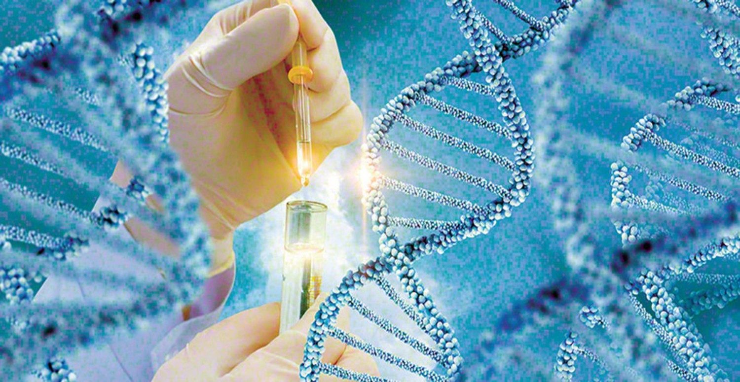 KEKEMELİKTE GENETİK FAKTÖRLER