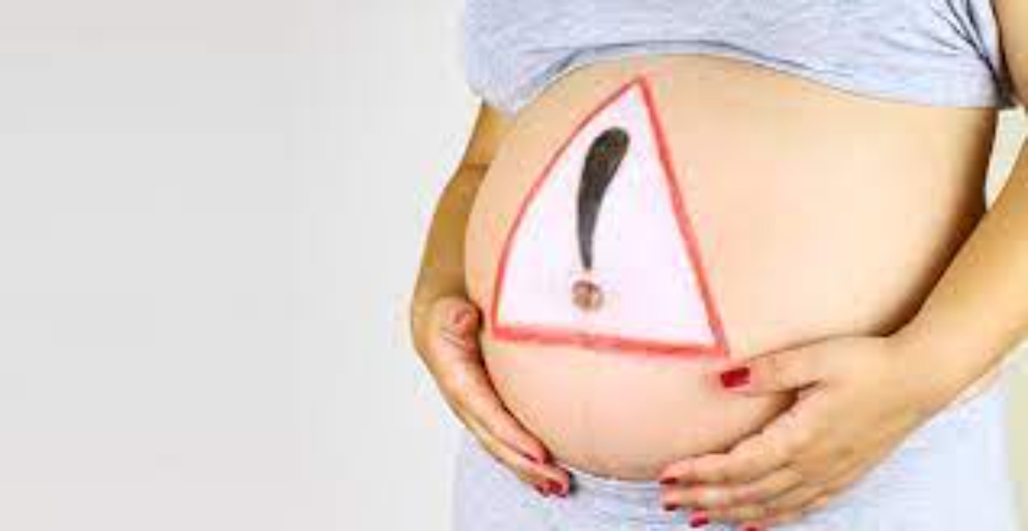 KISA MAHMUT OTU ETKİLERİ