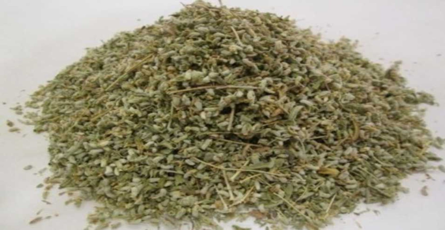 KISA MAHMUT OTU NEDİER