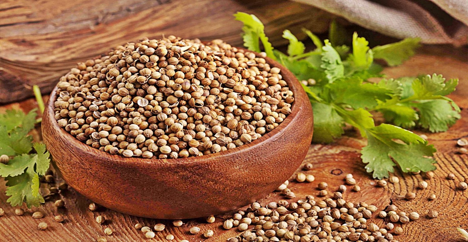 KİŞNİŞİN KULLANIMI