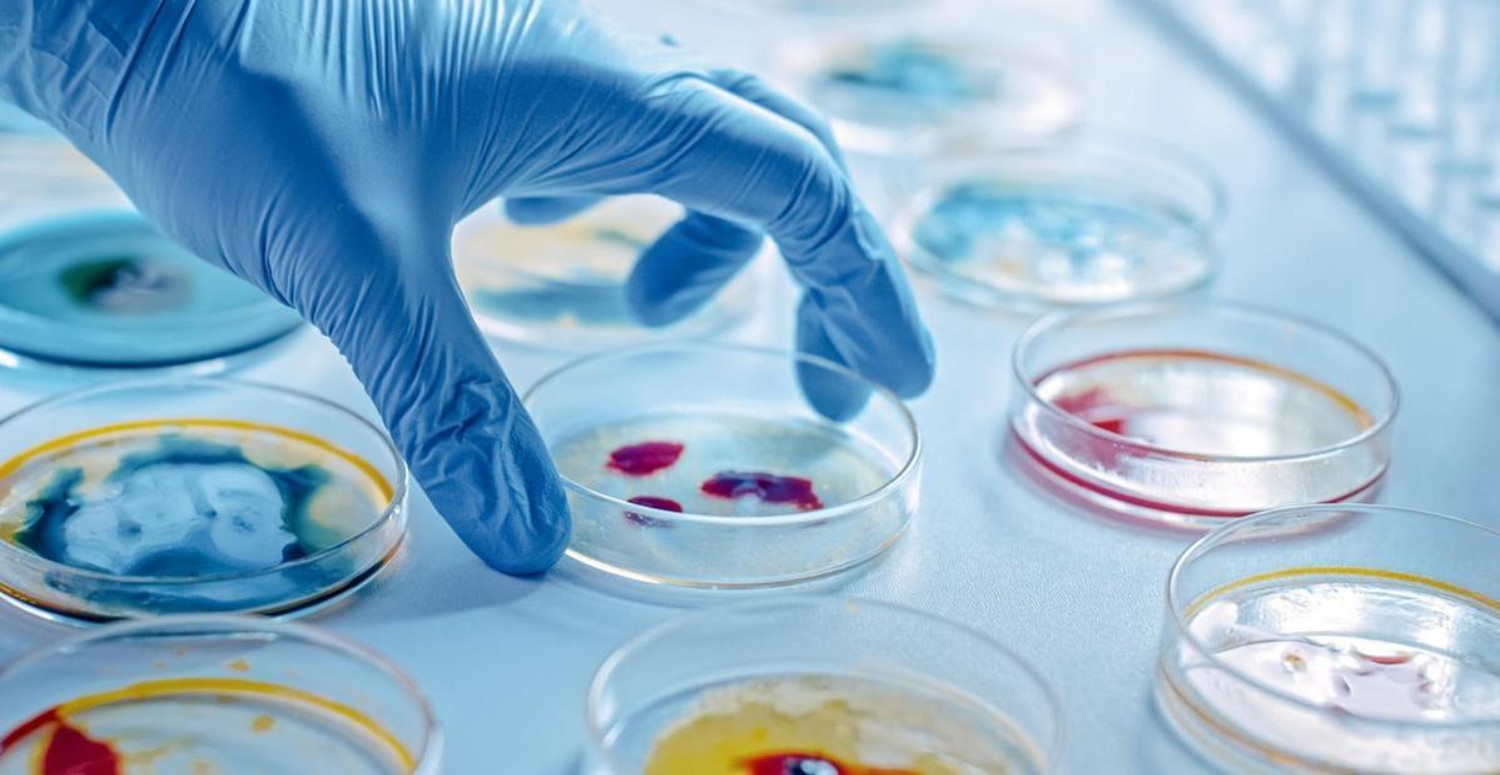 kök hücre tedavisi