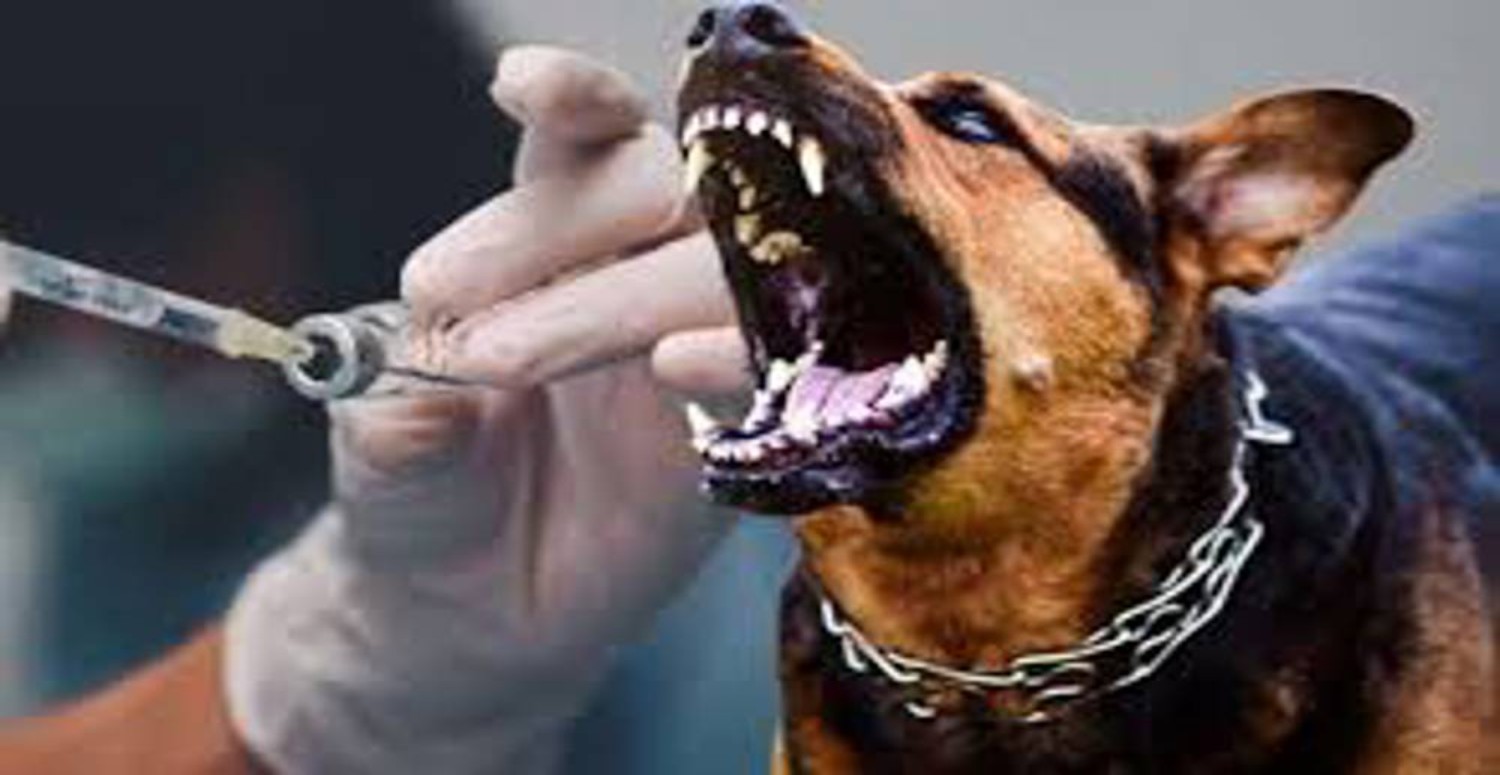 kuduzlar sudan neden korkar